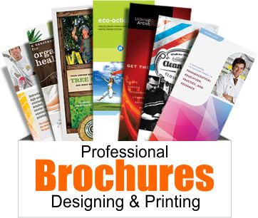 brochure-printing-services-1597520945-5555381